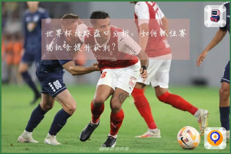 世界杯让球盘口分析，如何抓住赛场机会提升获利？