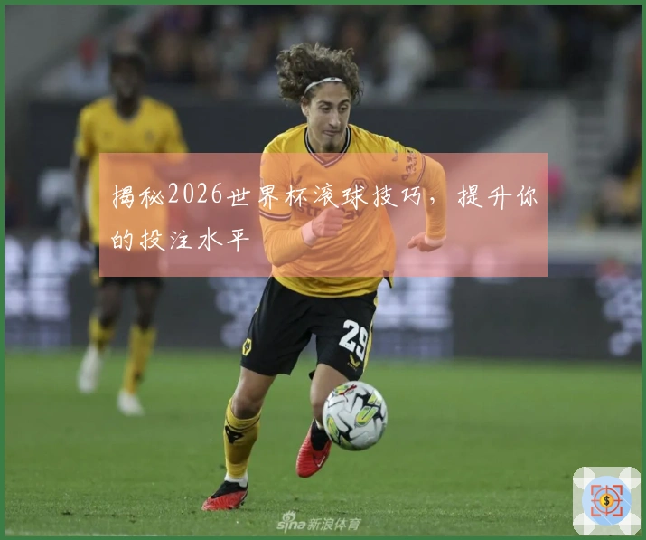 揭秘2026世界杯滚球技巧，提升你的投注水平