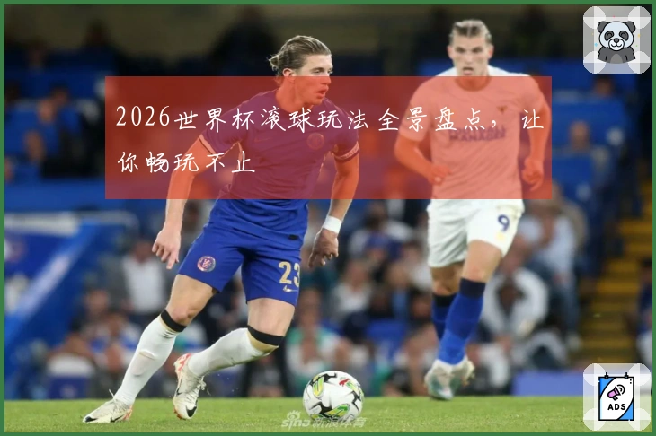 2026世界杯滚球玩法全景盘点，让你畅玩不止
