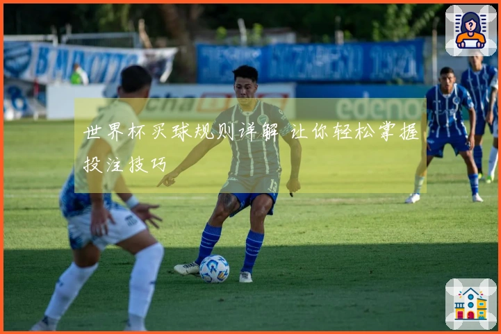 世界杯买球规则详解 让你轻松掌握投注技巧