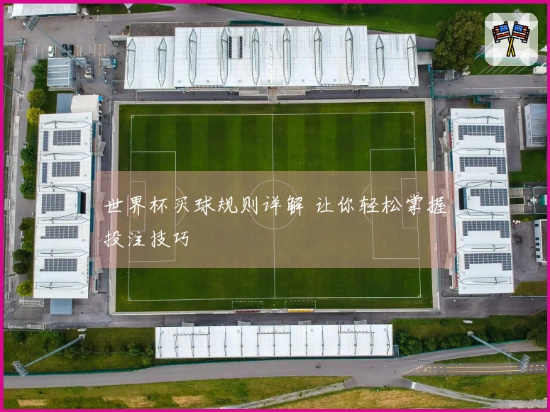 世界杯买球规则详解 让你轻松掌握投注技巧