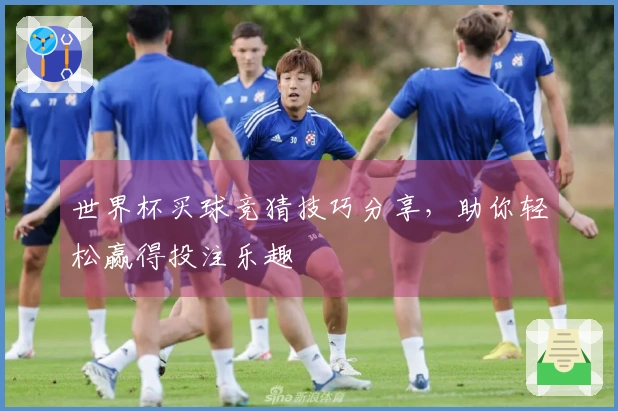 世界杯买球竞猜技巧分享，助你轻松赢得投注乐趣