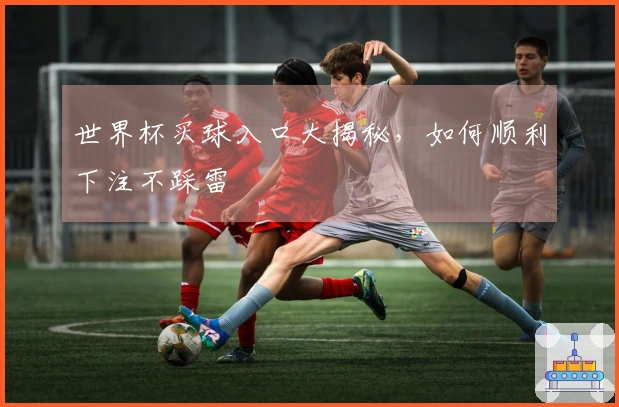 世界杯买球入口大揭秘，如何顺利下注不踩雷