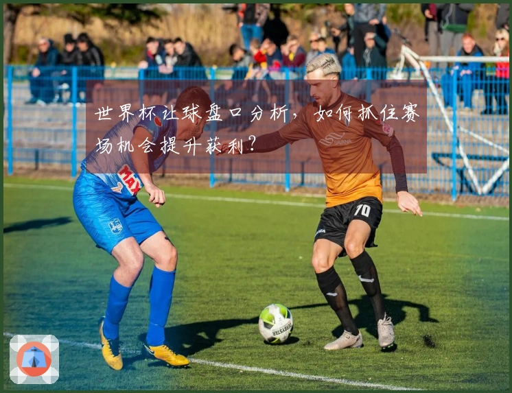 世界杯让球盘口分析，如何抓住赛场机会提升获利？